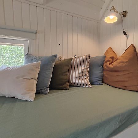 Tranum Klit Camping Og Hytteudlejning Brovst Extérieur photo
