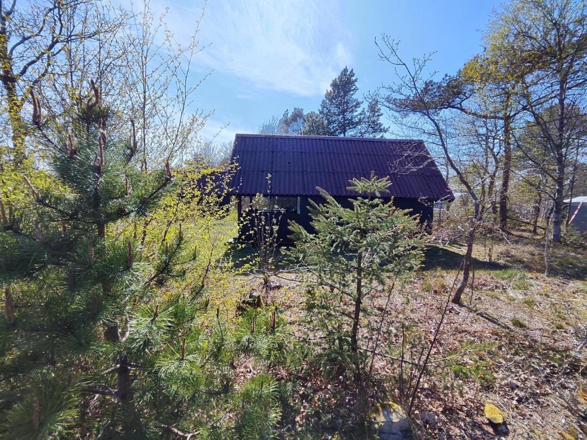 Tranum Klit Camping Og Hytteudlejning Brovst Extérieur photo